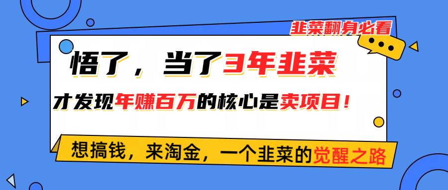 悟了，当了3年韭菜，才发现网赚圈年赚100万的核心是卖项目，含泪分享！-MOY工作室