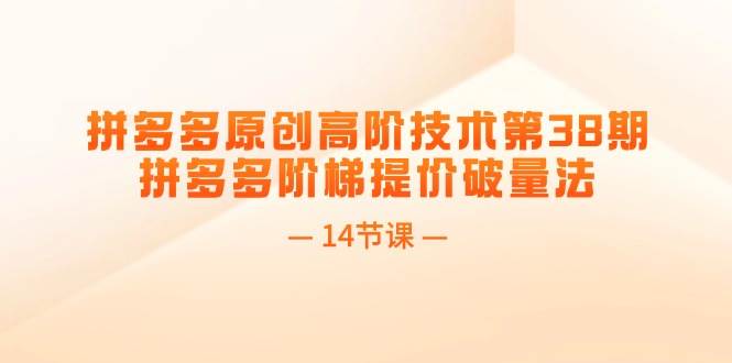 拼多多原创高阶技术第38期，拼多多阶梯提价破量法（14节课）-MOY工作室