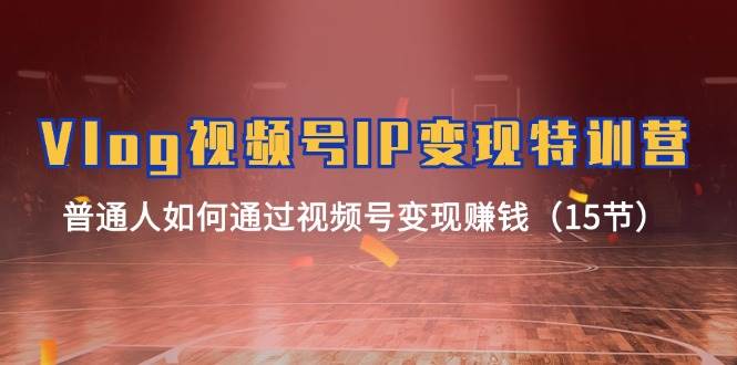 Vlog 视频号IP变现特训营，普通人如何通过视频号变现赚钱（15节）-MOY工作室