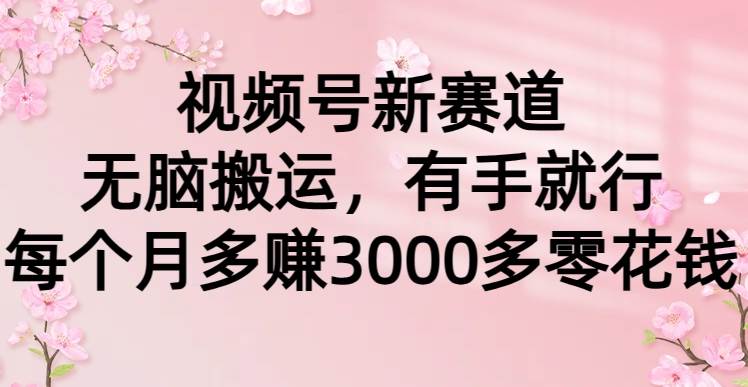 视频号新赛道，无脑搬运，有手就行，每个月多赚3000多零花钱-MOY工作室