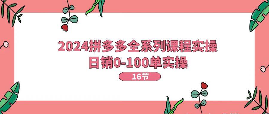 2024拼多多全系列课程实操，日销0-100单实操【16节课】-MOY工作室