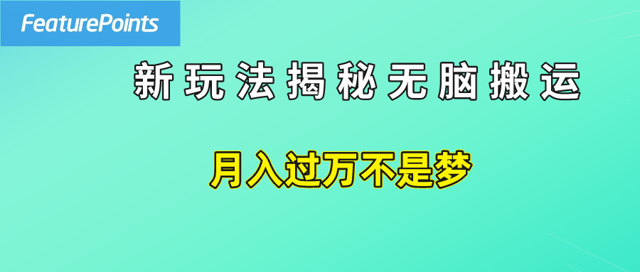 简单操作，每天50美元收入，搬运就是赚钱的秘诀！-MOY工作室
