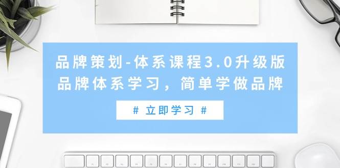 品牌策划-体系课程3.0升级版，品牌体系学习，简单学做品牌（高清无水印）-MOY工作室