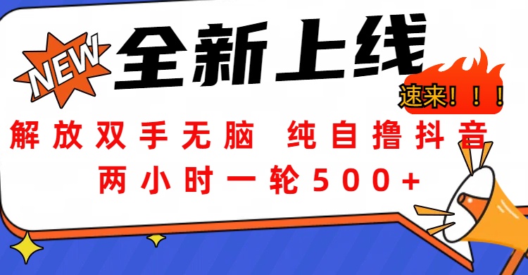 解放双手无脑 纯自撸抖音 两小时一轮500+-MOY工作室