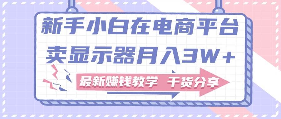 新手小白如何做到在电商平台卖显示器月入3W+，最新赚钱教学干货分享-MOY工作室