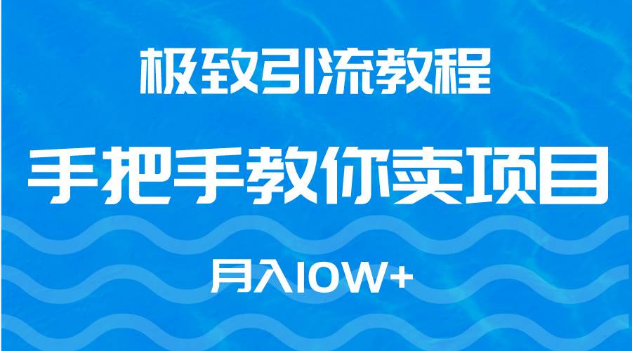 极致引流教程，手把手教你卖项目，月入10W+-MOY工作室