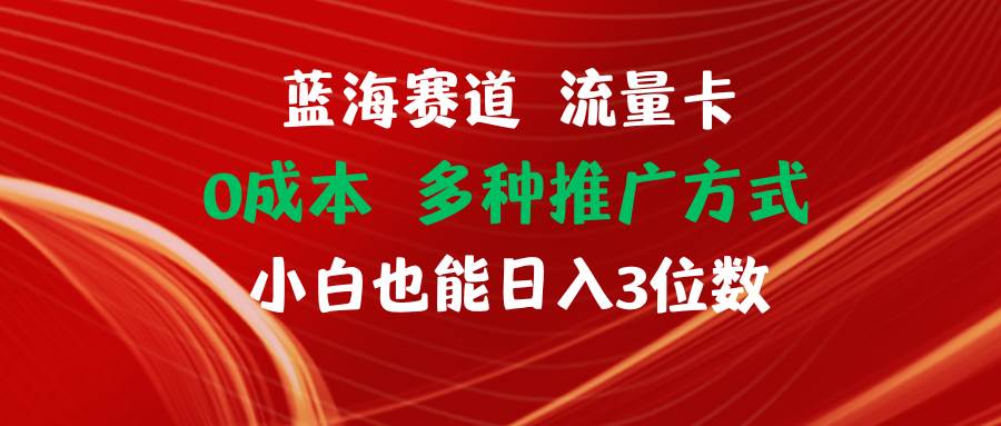 蓝海赛道 流量卡 0成本 小白也能日入三位数-MOY工作室