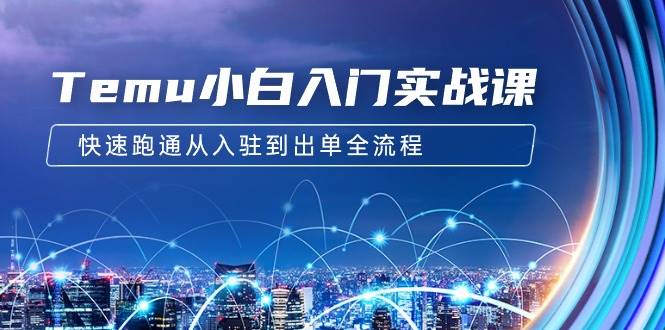Temu小白入门实战课：跨境拼多多电商培训 快速跑通从入驻到出单全流程-12节-MOY工作室