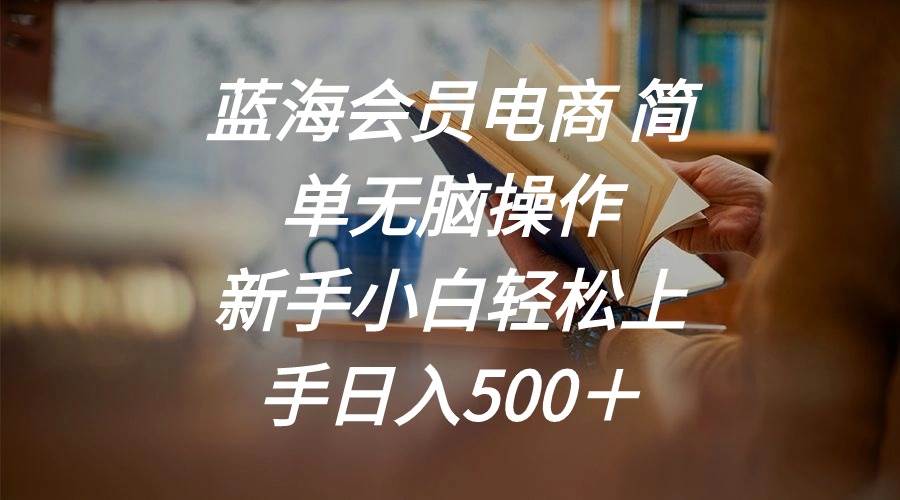 蓝海会员电商 简单无脑操作 新手小白轻松上手日入500＋-MOY工作室