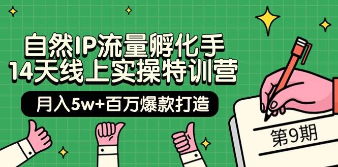 自然IP流量孵化手 14天线上实操特训营【第9期】月入5w+百万爆款打造 (74节)-MOY工作室