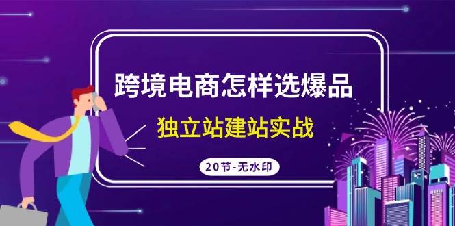 跨境电商怎样选爆品，独立站建站实战（20节高清无水印课）-MOY工作室