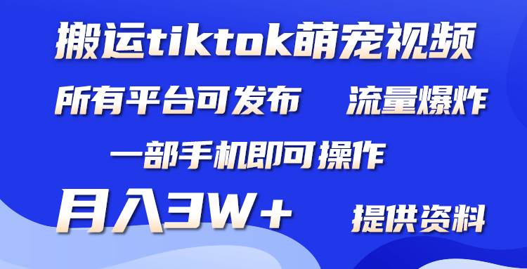 搬运Tiktok萌宠类视频，一部手机即可。所有短视频平台均可操作，月入3W+-MOY工作室