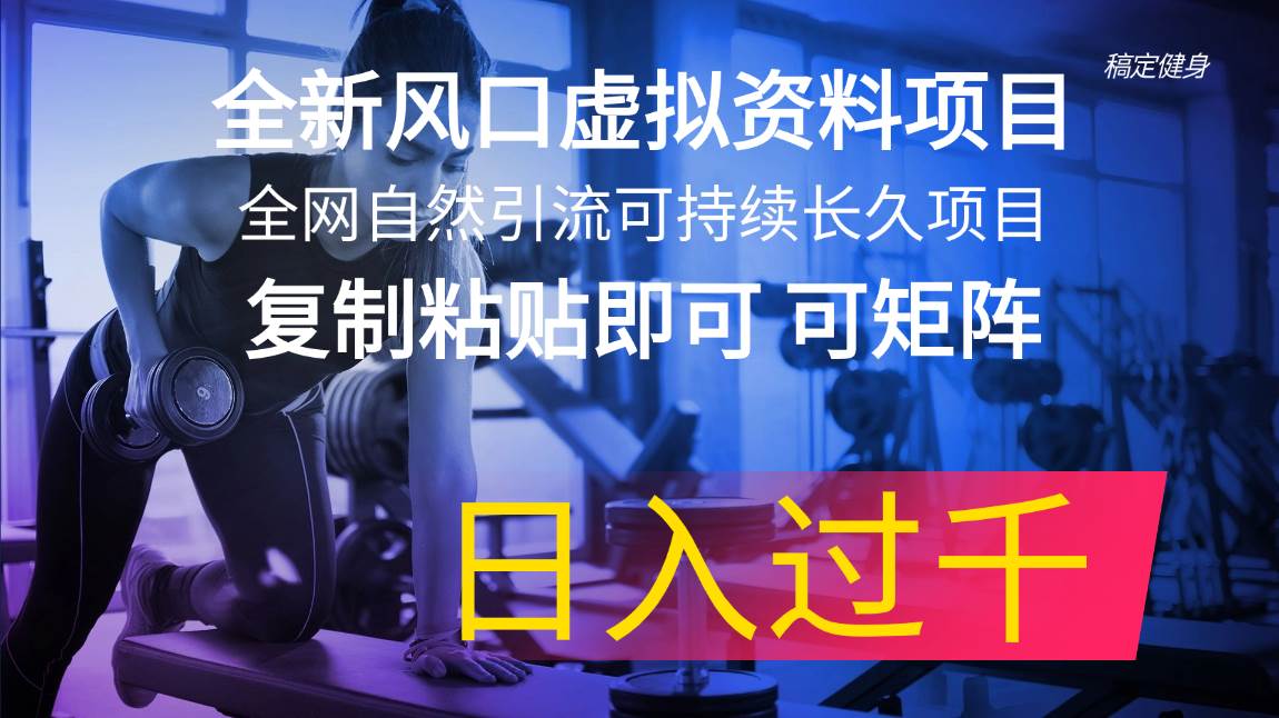 全新风口虚拟资料项目 全网自然引流可持续长久项目 复制粘贴即可可矩阵…-MOY工作室