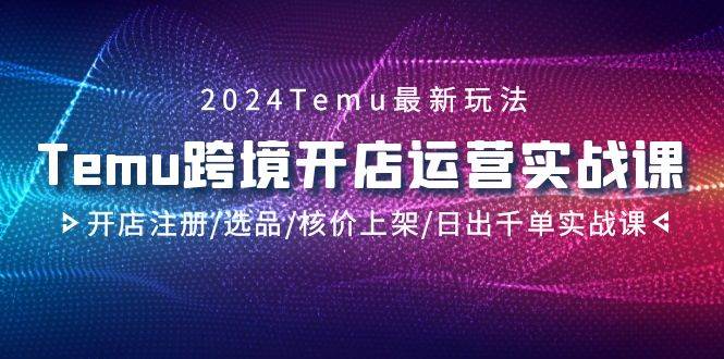 2024Temu跨境开店运营实战课，开店注册/选品/核价上架/日出千单实战课-MOY工作室