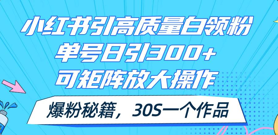 小红书引高质量白领粉，单号日引300+，可放大操作，爆粉秘籍！30s一个作品-MOY工作室