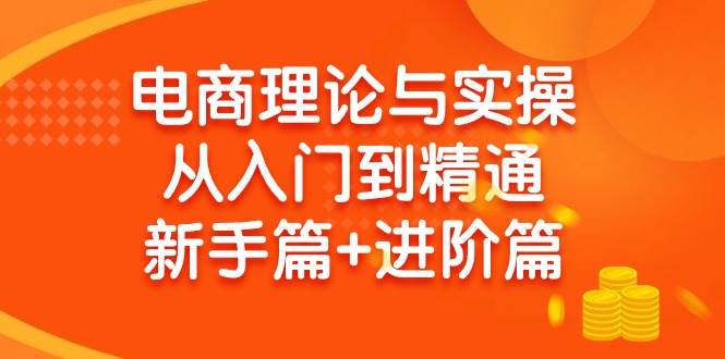 电商理论与实操从入门到精通 新手篇+进阶篇-MOY工作室