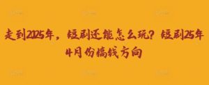 走到2025年，短剧还能怎么玩？短剧25年4月份搞钱方向-MOY工作室