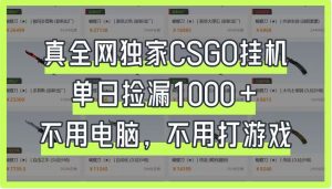 真全网独家CSGO挂机，单日捡漏1000+，不用电脑，不用养号-MOY工作室