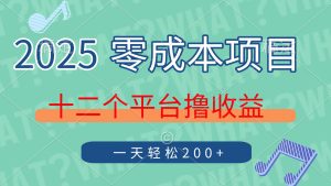 2025年零成本项目，十二个平台撸收益，单号一天轻松200+-MOY工作室
