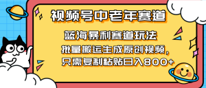 2025视频号中老年短视频蓝海暴利风口！复制粘贴搬运视频单日赚800+，无…-MOY工作室