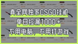 真全网独家CSGO挂G，单日捡漏1k+【揭秘】-MOY工作室