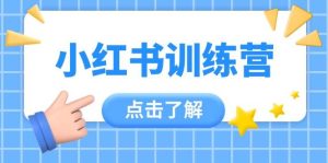 小红书训练营,助小白入门,掌握技巧变达人,课程实操又全面(12节课)-MOY工作室