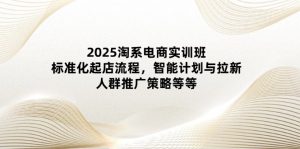 2025淘系电商实训班：标准化起店流程，智能计划与拉新，人群推广策略等等-MOY工作室