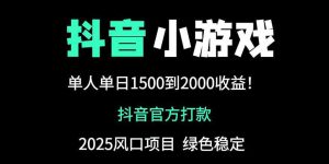 抖音官方小游戏2025全网最新玩法，暴利赚钱项目，单机日入2000+-MOY工作室