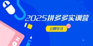 2025拼多多实训营：深度剖析运营关键，助力电商人快速提升-MOY工作室