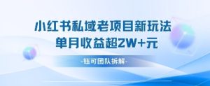 小红书私域项目新玩法，单月变现过W+-MOY工作室