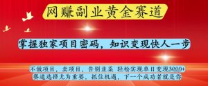 网创副业黄全赛道，掌握独家项目密码，知识变现快人一步，告别韭菜轻松实现单日变现1k+【揭秘】-MOY工作室